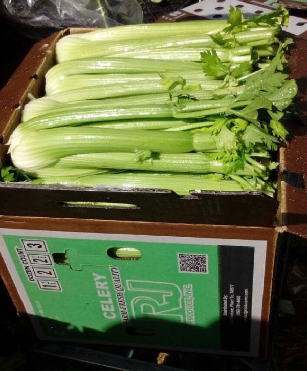 Celery Provided By RJ Produce